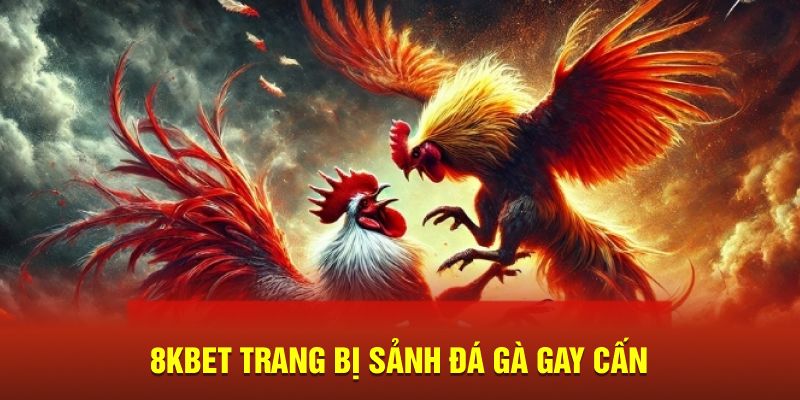 8kbet trang bị sảnh đá gà gay cấn