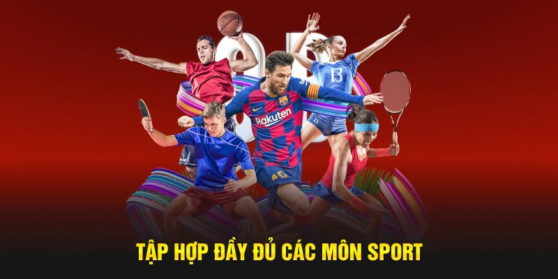 Tập hợp đầy đủ các môn sport